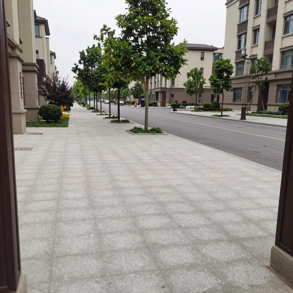 购房地块踏勘